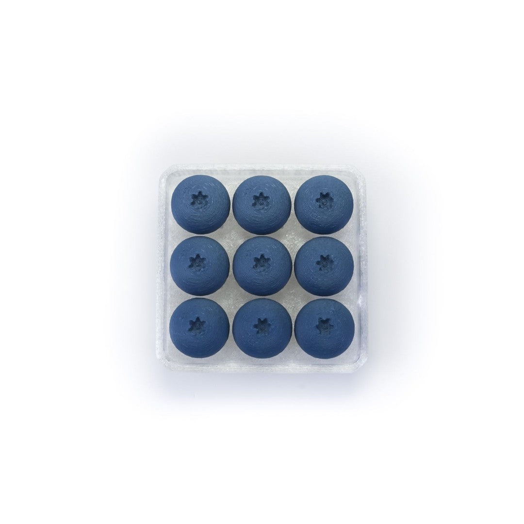 MoosAnime™ Blueberry Fidget Toy